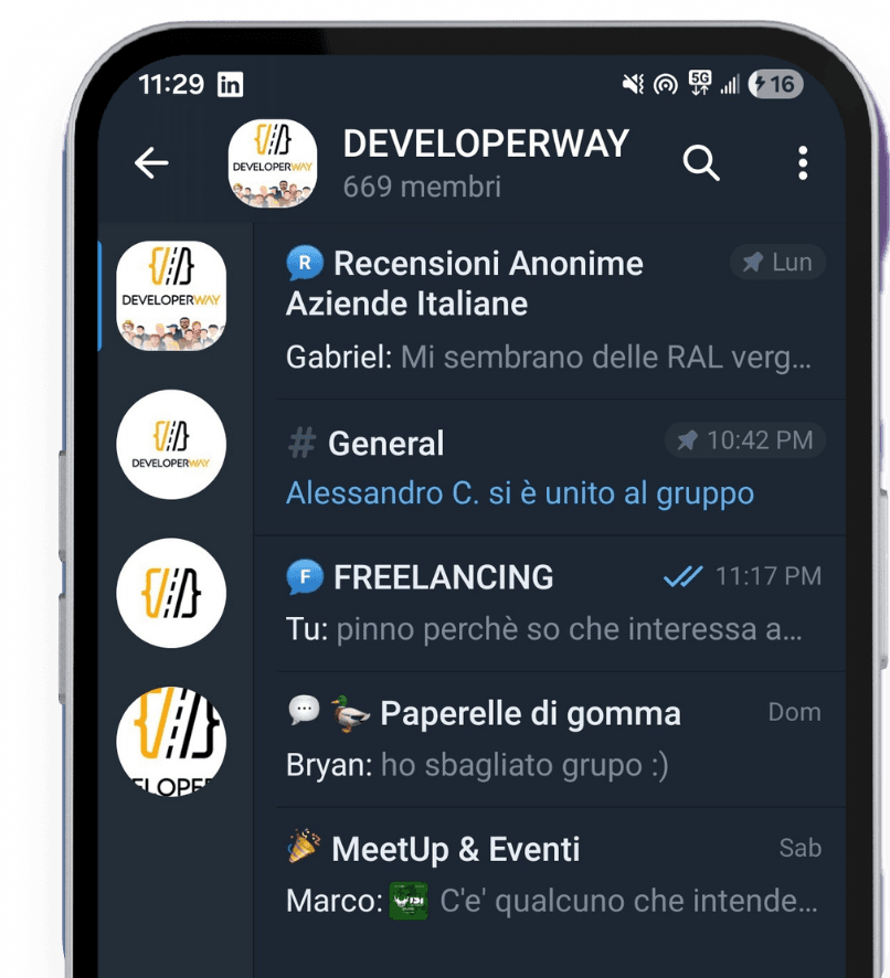 Gruppo Telegram DeveloperWay